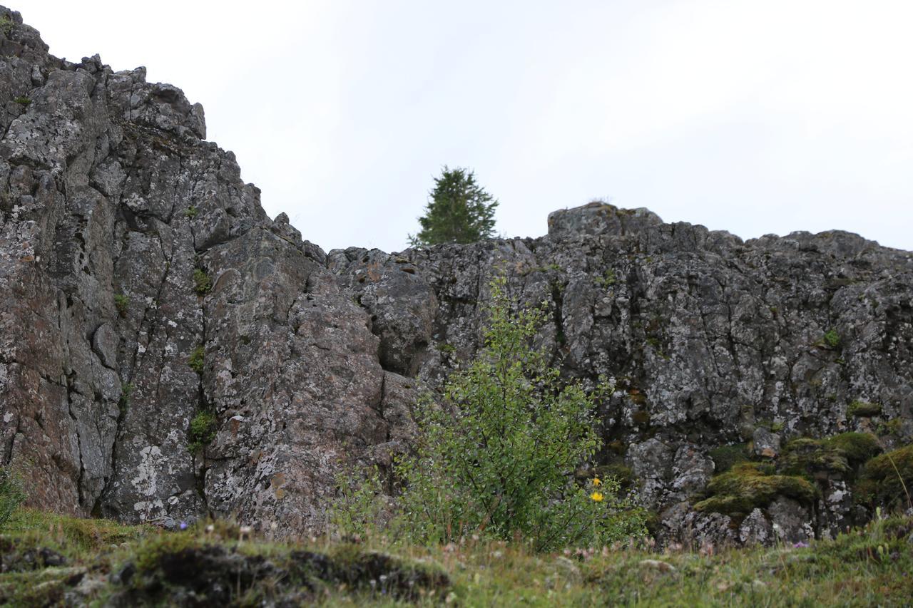 Hotel 1001 Nott Egilsstadir Kültér fotó